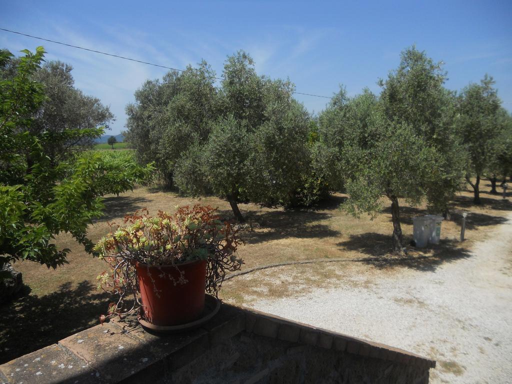 Agriturismo Tenuta Roccaccia Pitigliano Exterior foto